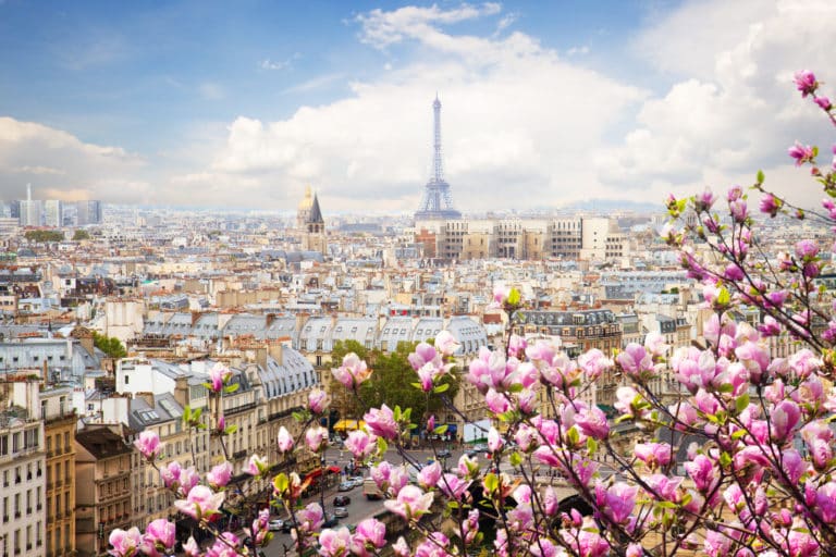 France flexes acquiring muscle as stage is set for EPI